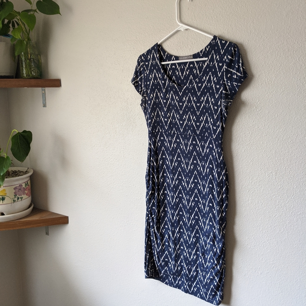Loveappella Maternity Dress